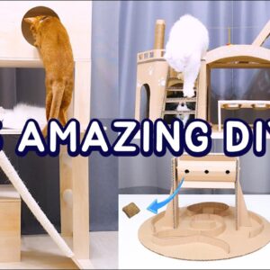 15 Amazing DIY Ideas for Your Cat #2