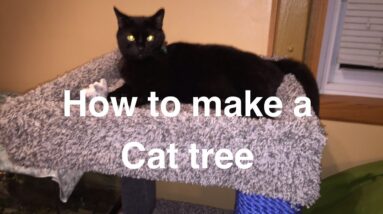 Build your own cat tree.