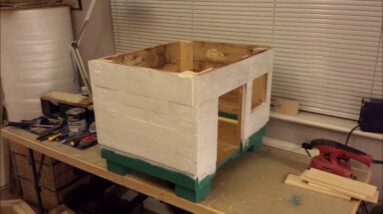 Building a Cat House for Chilli