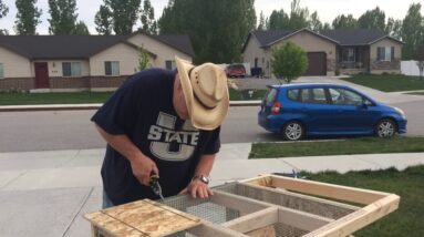 Building a rabbit hutch for less than $50.00