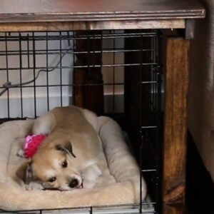 DIY Furniture For Your Pets