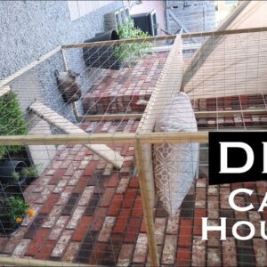 DIY INEXPENSIVE OUTDOOR CAT HOUSE ENCLOSURE