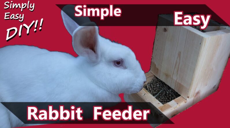 DIY Rabbit Feeder