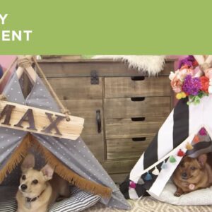 Easy DIY Puppy Tent | Hobby Lobby®