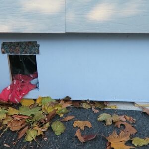 Feral Cat House Tour - DIY Custom Feral Cat Shelter