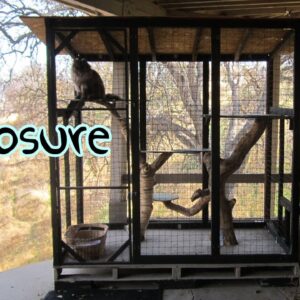 Homemade Cat Enclosure