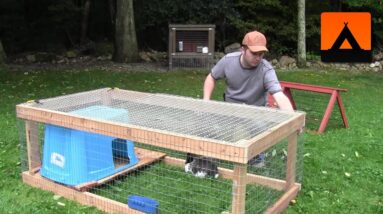 How to Build a Rabbit Hutch -  Cheap and Easy