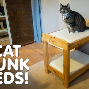 Making Cat Or Dog Bunk Beds