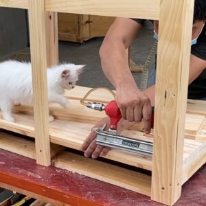 Fun House Design Ideas for Your Pets • How to Build a Dog House that is Perfect for Your Dog