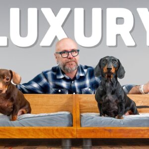 My Dogs Demand Luxury, So I Made Them This…